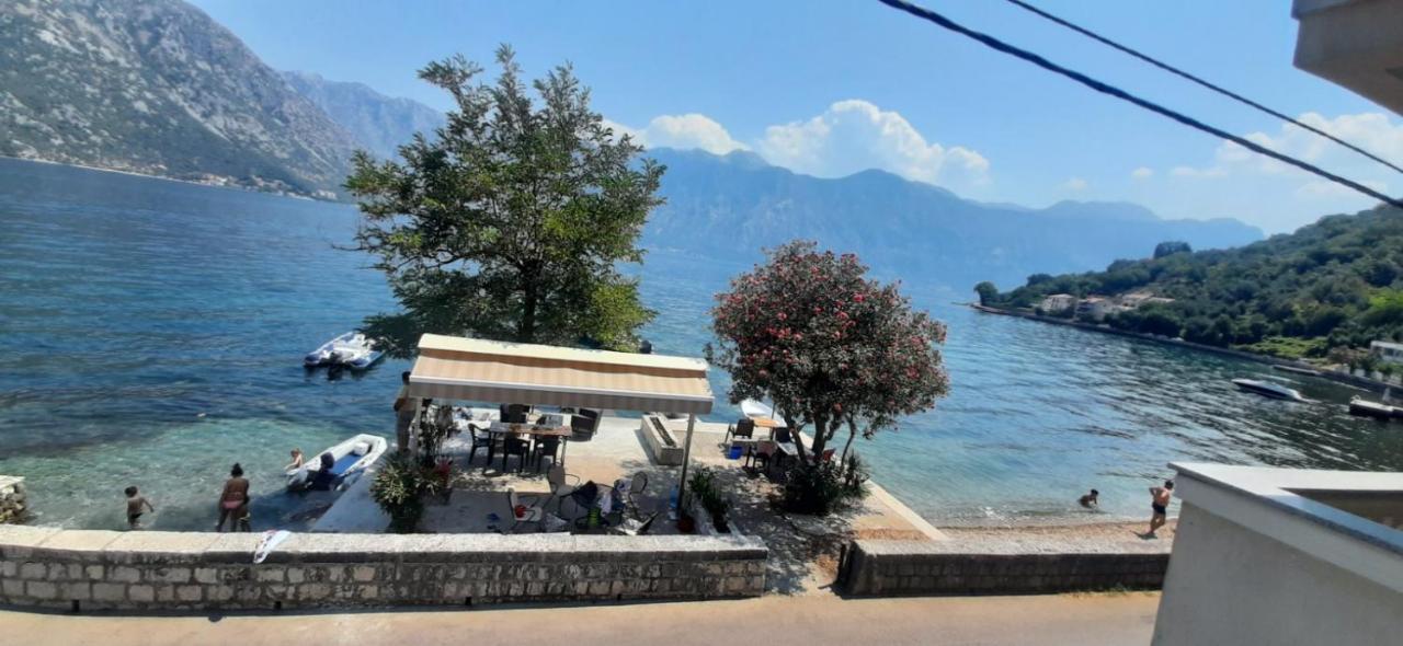 Appartement Apartmants Alexander à Kotor Extérieur photo