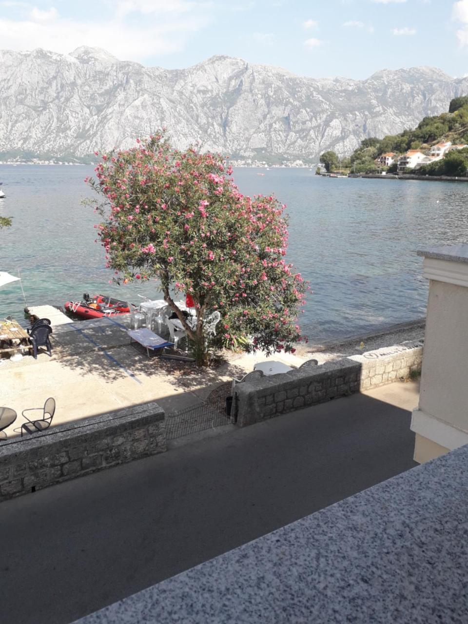 Appartement Apartmants Alexander à Kotor Extérieur photo